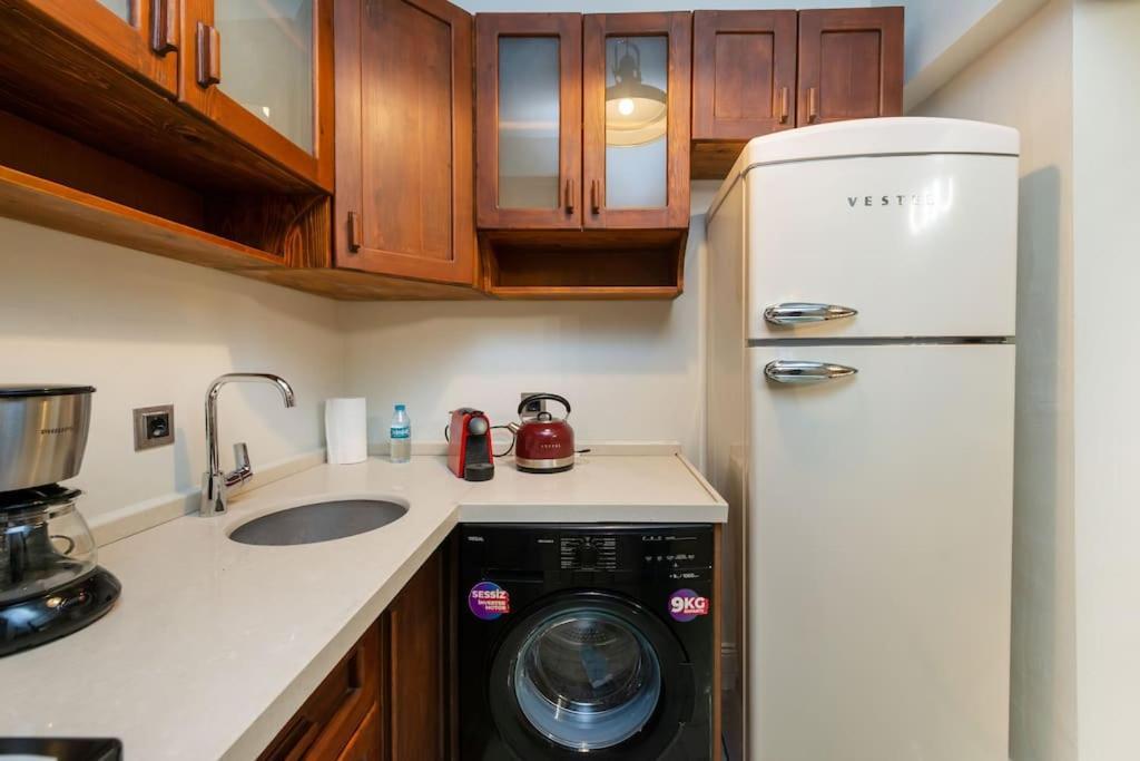 Maison Chic - Newly Renovated 3br In Center Istanbul